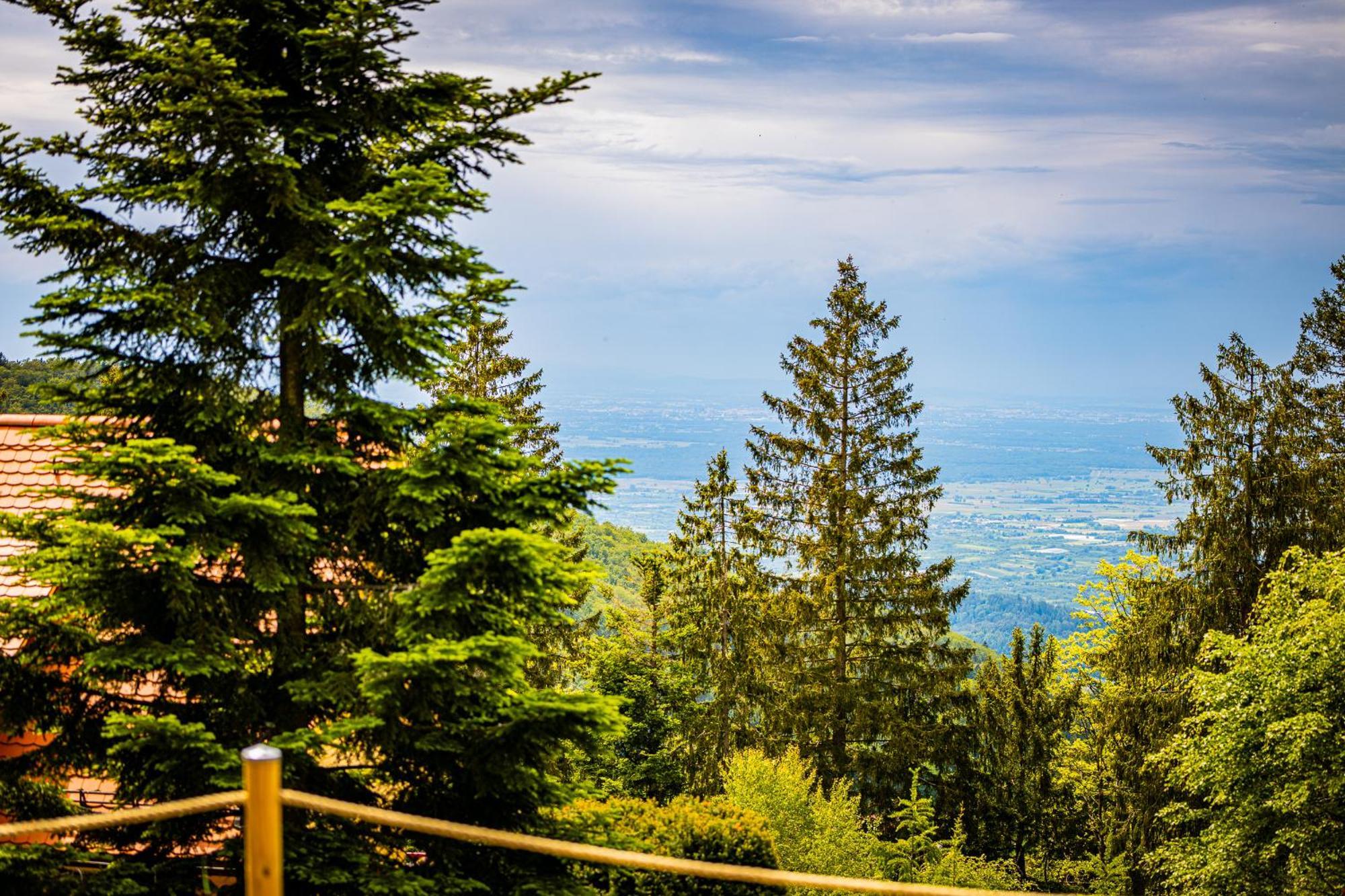 Sonnenhaeusle - Natur. Fernblick. Panorama-Sauna. Sasbachwalden Exteriör bild