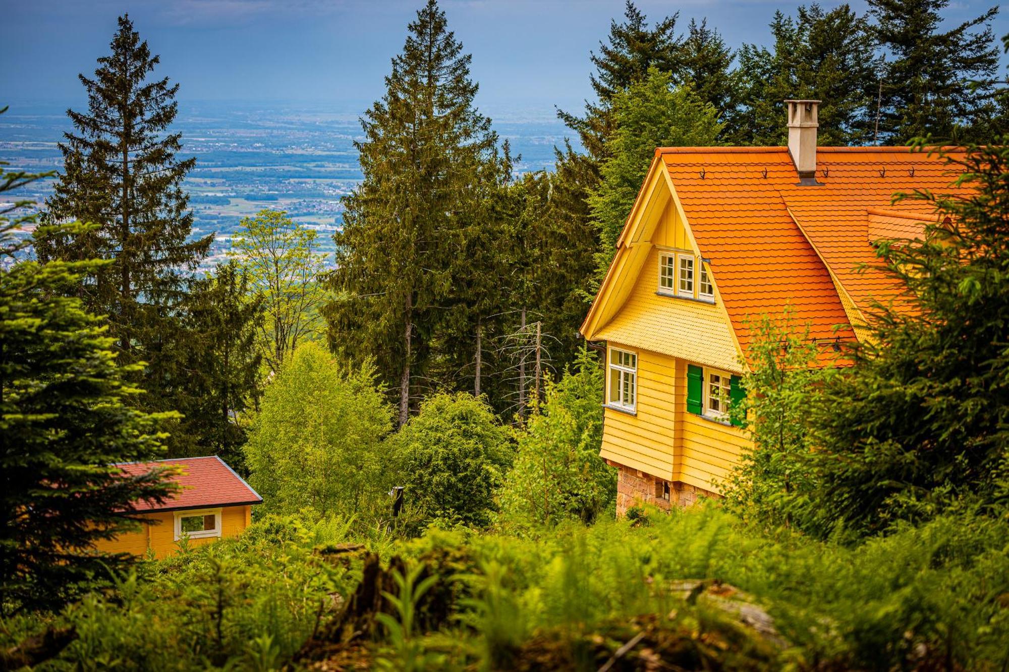Sonnenhaeusle - Natur. Fernblick. Panorama-Sauna. Sasbachwalden Exteriör bild