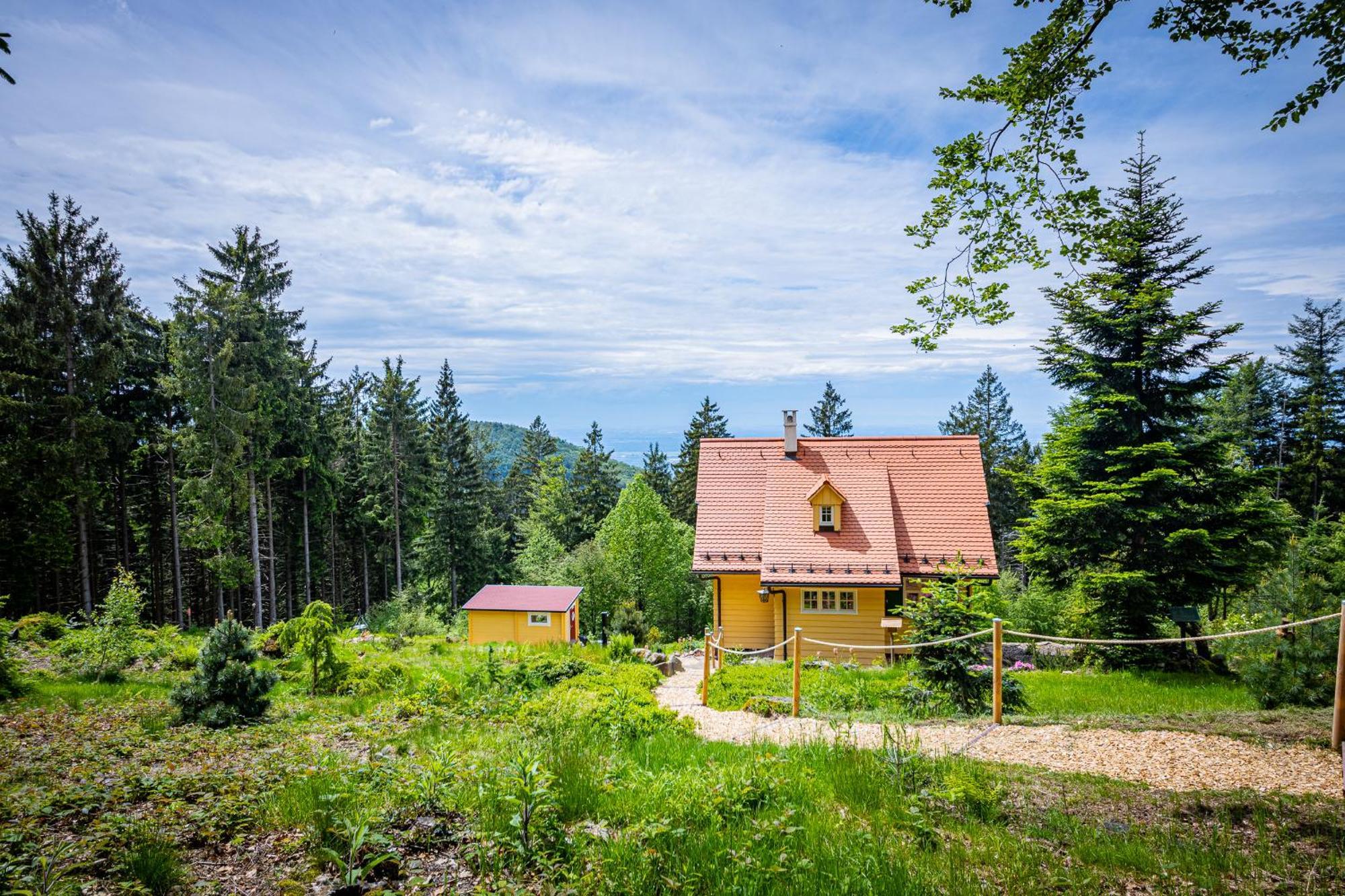 Sonnenhaeusle - Natur. Fernblick. Panorama-Sauna. Sasbachwalden Exteriör bild