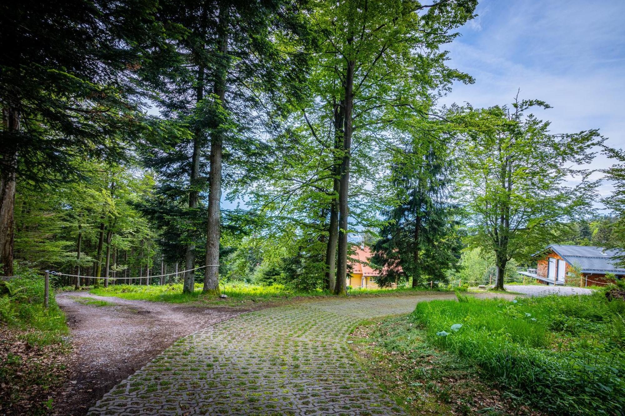 Sonnenhaeusle - Natur. Fernblick. Panorama-Sauna. Sasbachwalden Exteriör bild