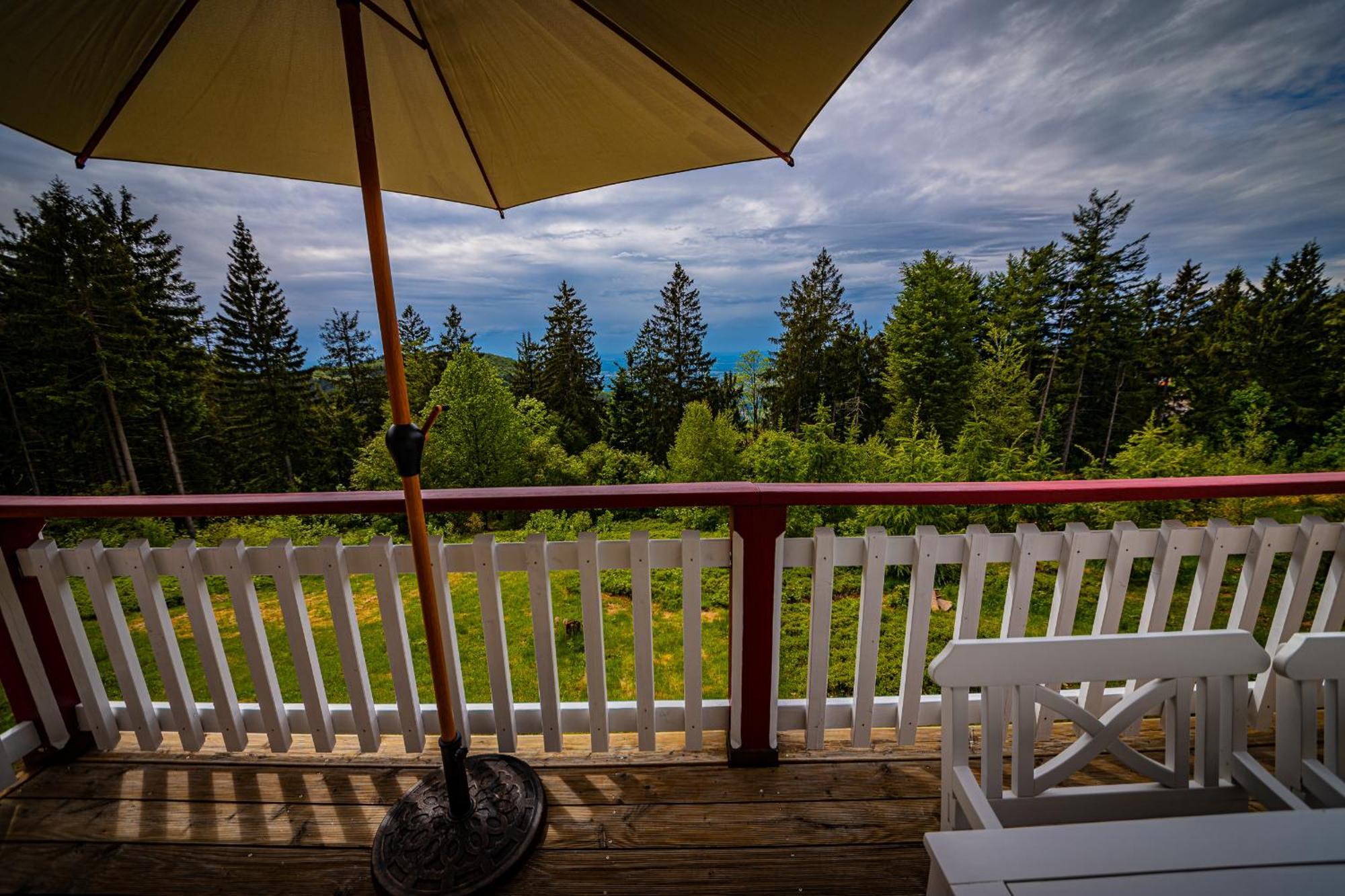 Sonnenhaeusle - Natur. Fernblick. Panorama-Sauna. Sasbachwalden Exteriör bild